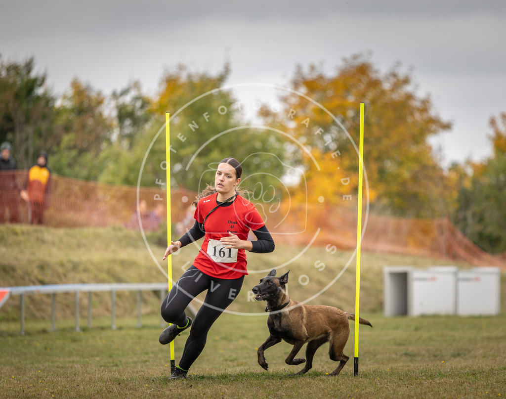Pfotenfotografie_DV3A5212 | Hundefotografie, Tierfotograf, Pfotenfotografie, Fotoshooting Hund, Hunde Portrait, Hundesport, Hundeportraits, Heideshooting, Hunde, Sportfotograf, Hundefotograf, Turnierhundsport, THS,  - Realisiert mit Pictrs.com