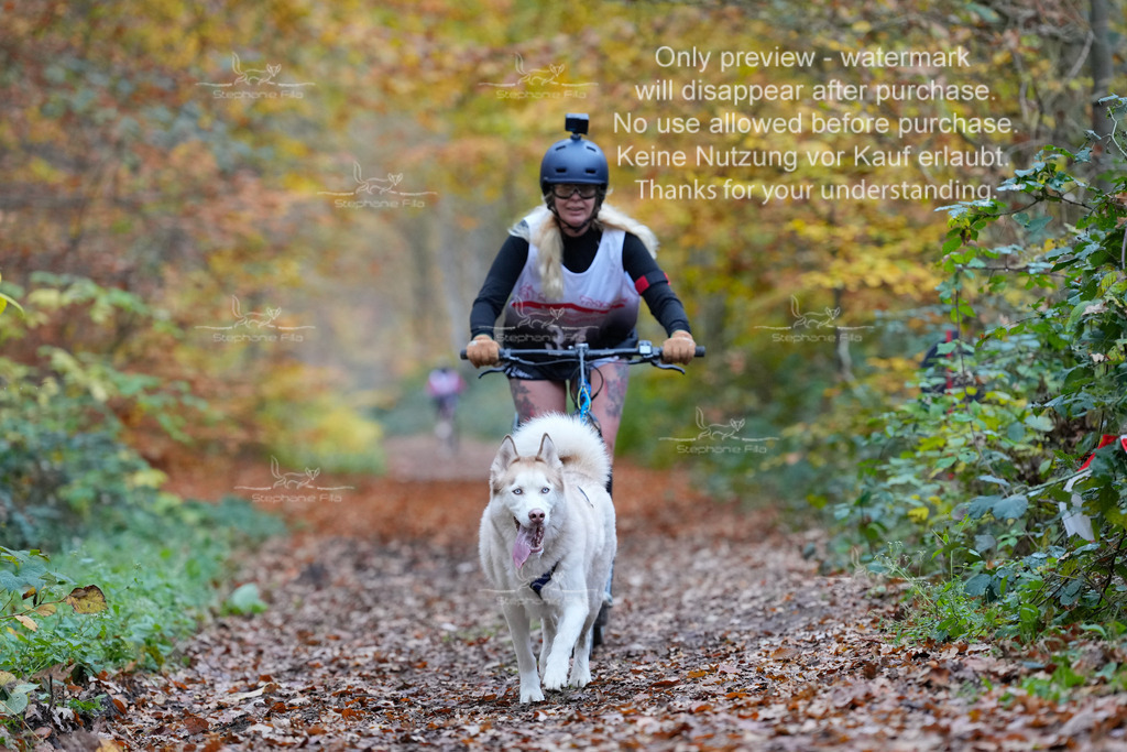 Scooter_So-98 | stephaniefillaphotographie - Realisiert mit Pictrs.com