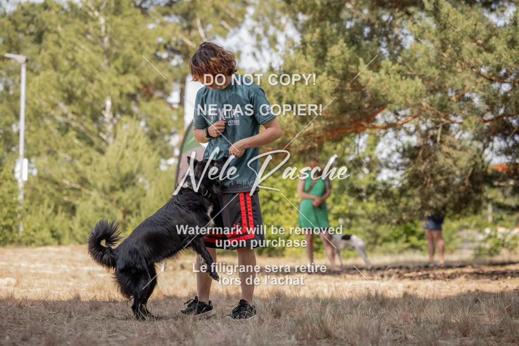 nelerasche_soDD2_321 | nelerasche