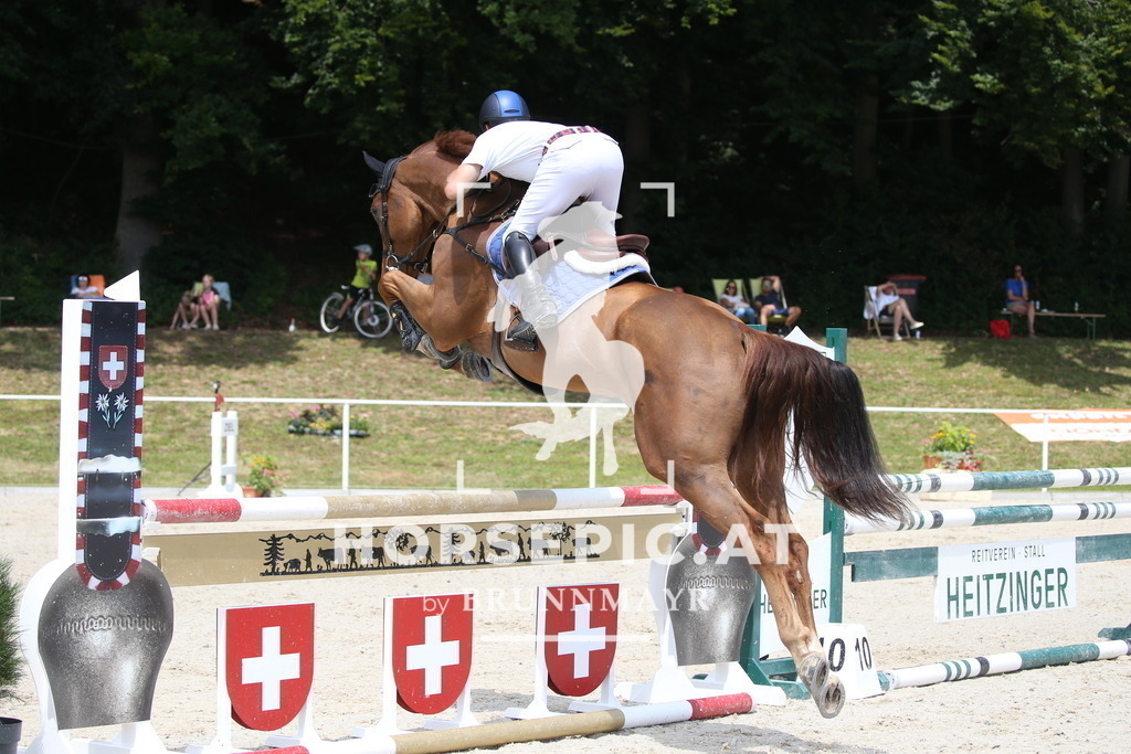 DL2Q0130 | Willkommen bei Brunnmayr - Design & Fotografie – Ihrem Spezialisten für Reitturniere und Pferdeveranstaltungen in Oberösterreich, Salzburg und Bayern! Seit über 17 Jahren sind wir leidenschaftlich dabei.