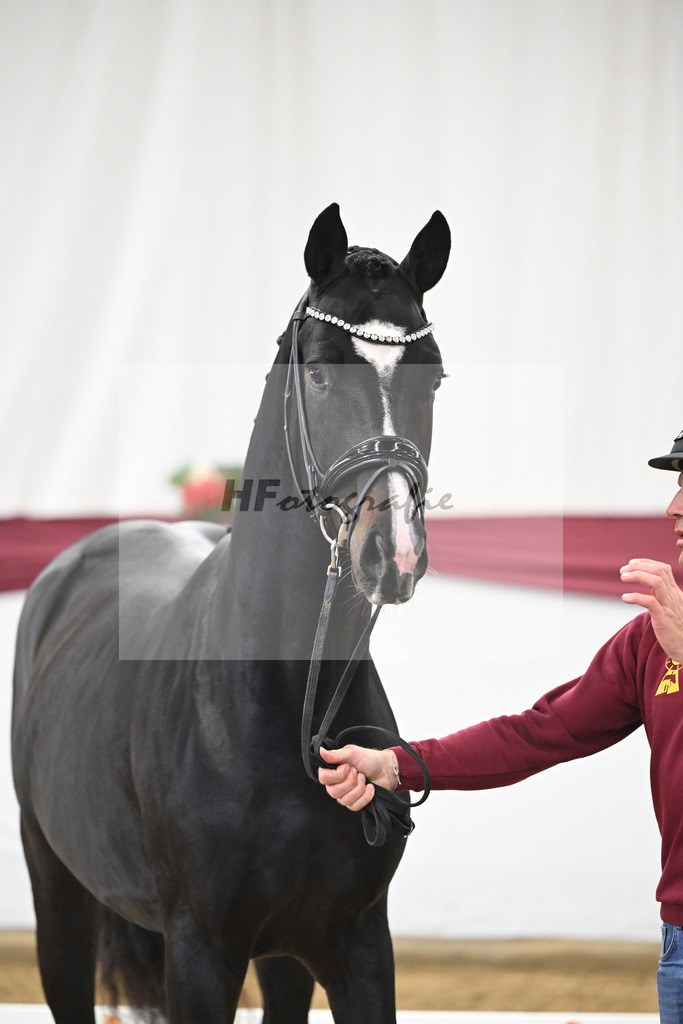 Kat-Nr. 18 Escaneno x Fuerstenball_Stefan Holtwiesche_47250476 | hf-fotografie - Realisiert mit Pictrs.com