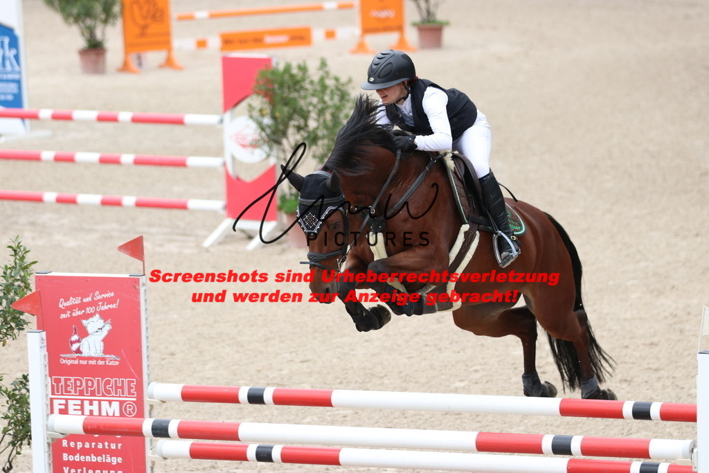 IMG_2536 | lmwpictures - Realisiert mit Pictrs.com