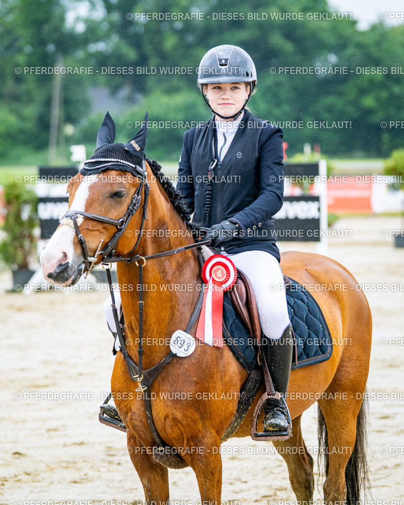 DSC03334 | Pferdegrafie