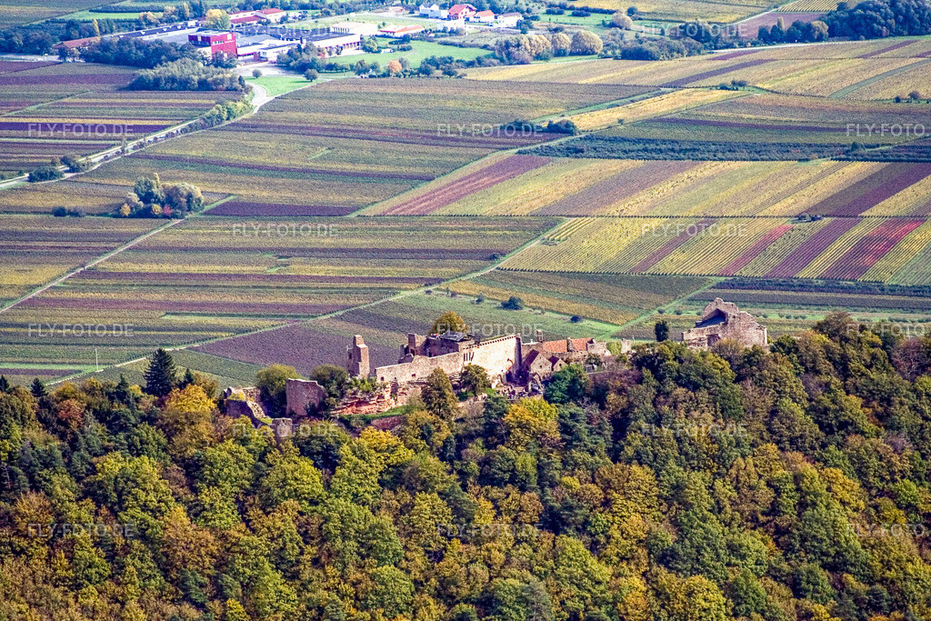 Madenburg von Westen | Luftbild: Madenburg von Westen in Eschbach im Bundesland Rheinland-Pfalz in Deutschland. Foto: IMG_4395.jpg vom 22.10.2006 durch Werner Riehm/FLY-FOTO.de - Realisiert mit Pictrs.com