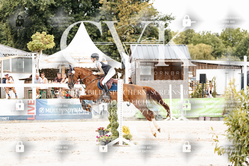 CK908147 | Turnierfotografie Pferdefotografie Trier Rheinland-Pfalz Pferdesport Reitsport Tierfotografie Sportfotografie Pferdevideo Pferdevideografie Equestrianvideography equestrianphotography  - Realisiert mit Pictrs.com