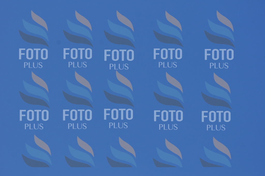 C4037 | holidayphoto