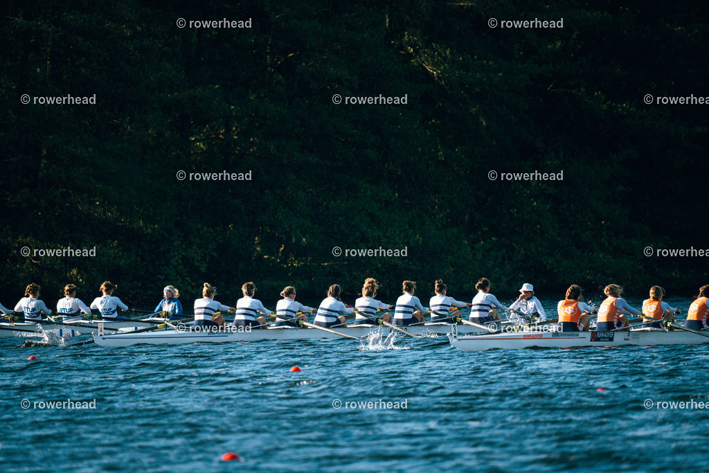20241006_rowerhead_R038_S0060_DSC09333 | rowerhead - Realisiert mit Pictrs.com