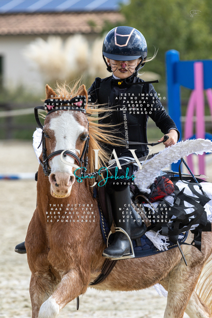 IMG_2138 | s-jay-photography - Realisiert mit Pictrs.com