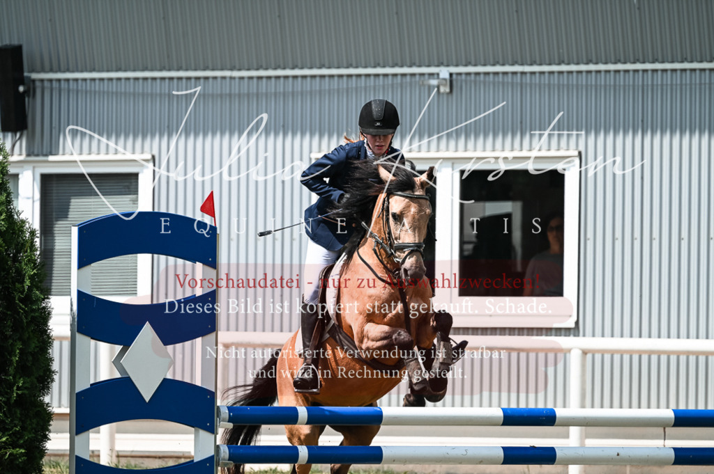 DSC_9315 | Pferde- und Turnierfotografie in Westsachsen. Pferdeportraits, Auftragszeichnungen und intuitive Kunst.