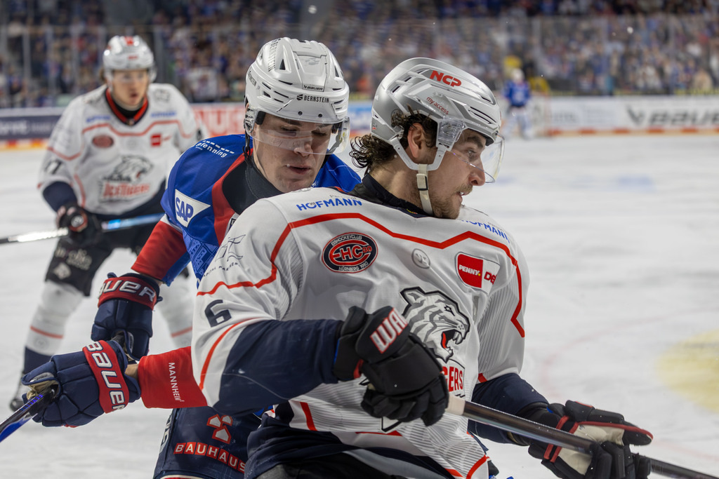 DEL, Deutsche Eishockey Liga Saison 2025/26, 40. Spieltag: Adler Mannheim gegen Nürnberg Ice Tigers | DEL, Deutsche Eishockey Liga Saison 2025/26, 40. Spieltag: Adler Mannheim gegen Nürnberg Ice Tigers***Maximilian Heim (86, Mannheim) und Julius Karrer (6, Nürnberg) - Realisiert mit Pictrs.com