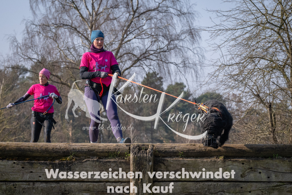 _ZZ93182 | kk-dogfotos