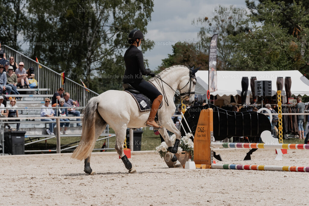 WE_ST_Stoib_336_PI2025_1113 | Pferd International München 2025