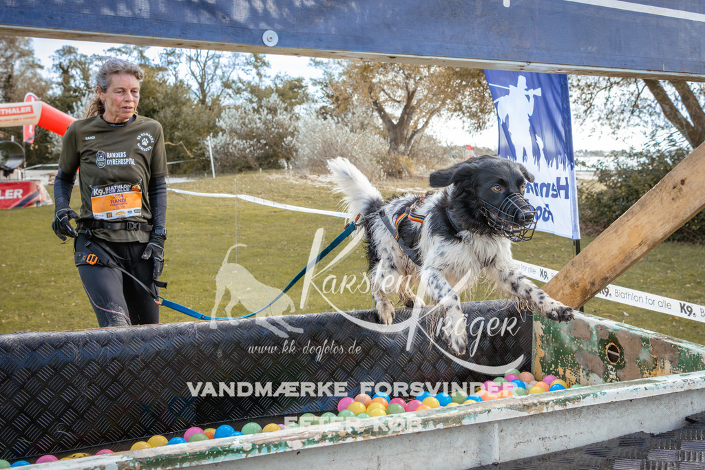 1401_ZZ93324-2 | kk-dogfotos