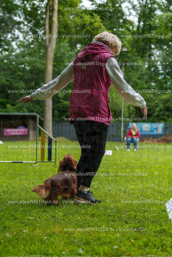 @allesWIRTHgut_Tierfotografie - www.allesWIRTHgut.de - 090825-7R506580 | Professionelle Tierfotografie in Mönchengladbach von Daniel Wirth (allesWIRTHgut). Liebevolle & natürliche Bilder von Hunden & Katzen für unvergessliche Erinnerungen.
