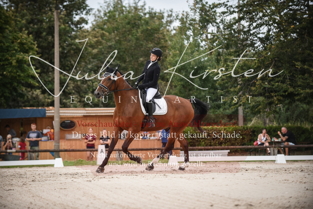 DSC_8092 | Pferde- und Turnierfotografie in Westsachsen. Pferdeportraits, Auftragszeichnungen und intuitive Kunst.