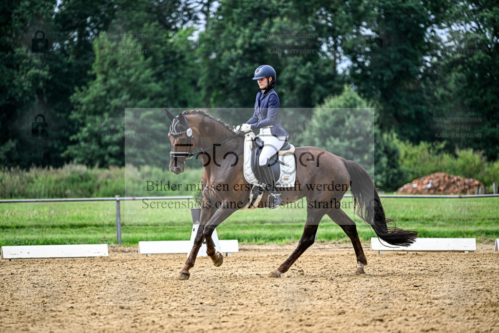 Reitturnier Hasbergen | Entdecke hochwertige Reitturnierfotos von Foto Oger. Professionell, emotional und authentisch – jetzt Lieblingsmomente im Shop bestellen. - Realisiert mit Pictrs.com