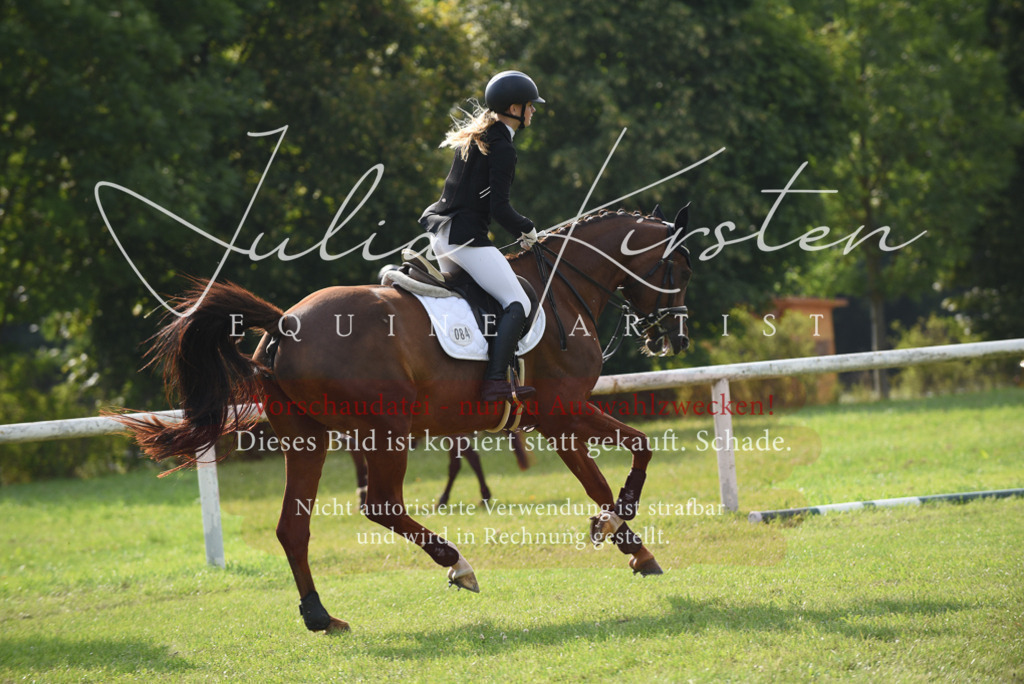 DSC_8789 | Pferde- und Turnierfotografie in Westsachsen. Pferdeportraits, Auftragszeichnungen und intuitive Kunst.
