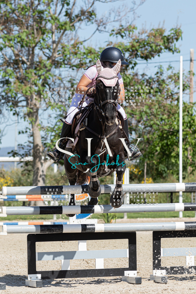 IMG_0896 | s-jay-photography - Realisiert mit Pictrs.com