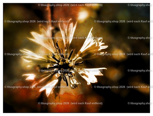 titusgraphy_P8190602-vz-ln_pe-08-03 | titusgraphy-shop: Geschenkideen mit Qualitätsfotos. titusgraphy-shop: gift ideas with quality photos. titusgraphy-shop: idées cadeaux avec photos de qualité.  - Realisiert mit Pictrs.com