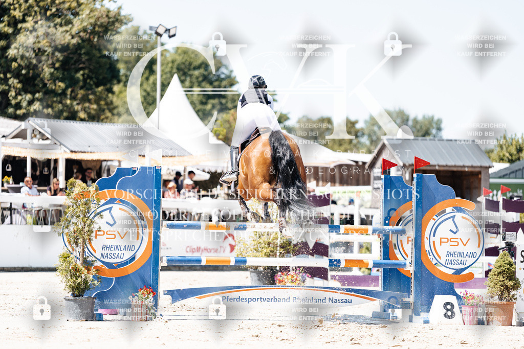 CK909630 | Turnierfotografie Pferdefotografie Trier Rheinland-Pfalz Pferdesport Reitsport Tierfotografie Sportfotografie Pferdevideo Pferdevideografie Equestrianvideography equestrianphotography  - Realisiert mit Pictrs.com