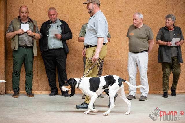 Expo Hunde CAC 2023 Escholznatt | Expo SLC/CCC/CSS (CAC) in Escholzmatt. 03.06.2023 Foto: Leo Wyden