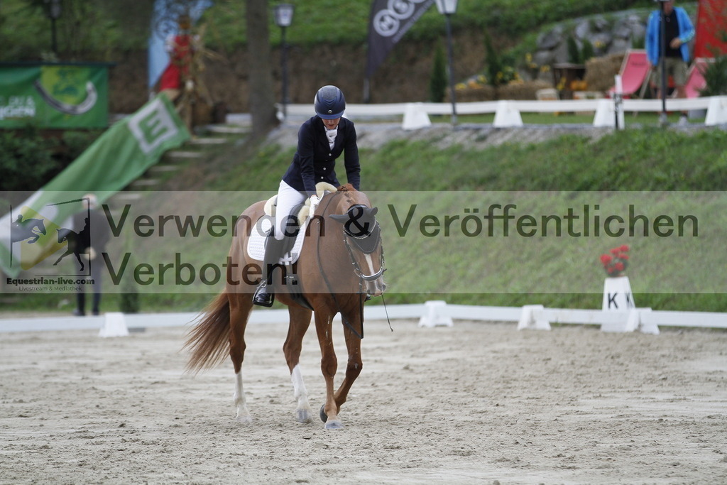 _MG_4018 | equestrian-live-com