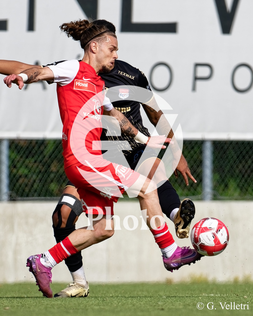 DSC_5701 | Velletri Photo