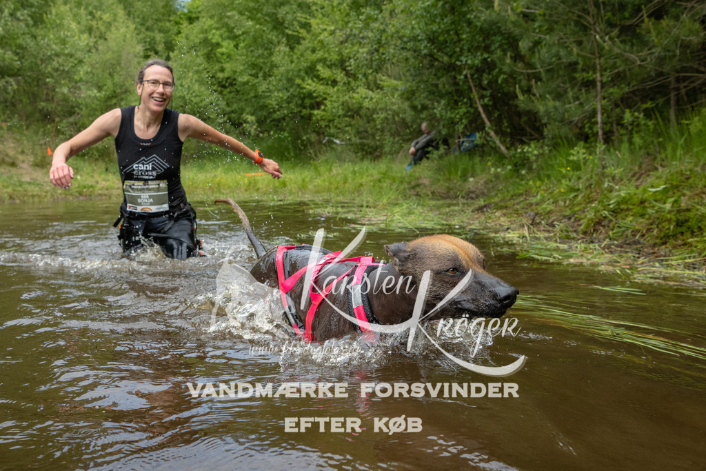 1103DKK994029 | kk-dogfotos