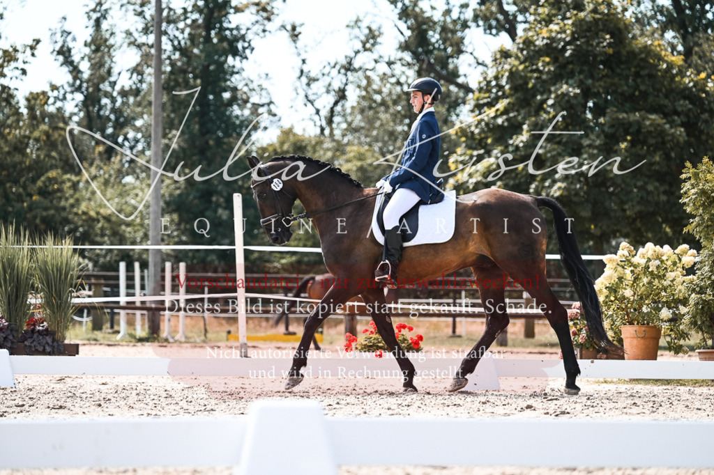 DSC_5421 | Pferde- und Turnierfotografie in Westsachsen. Pferdeportraits, Auftragszeichnungen und intuitive Kunst.