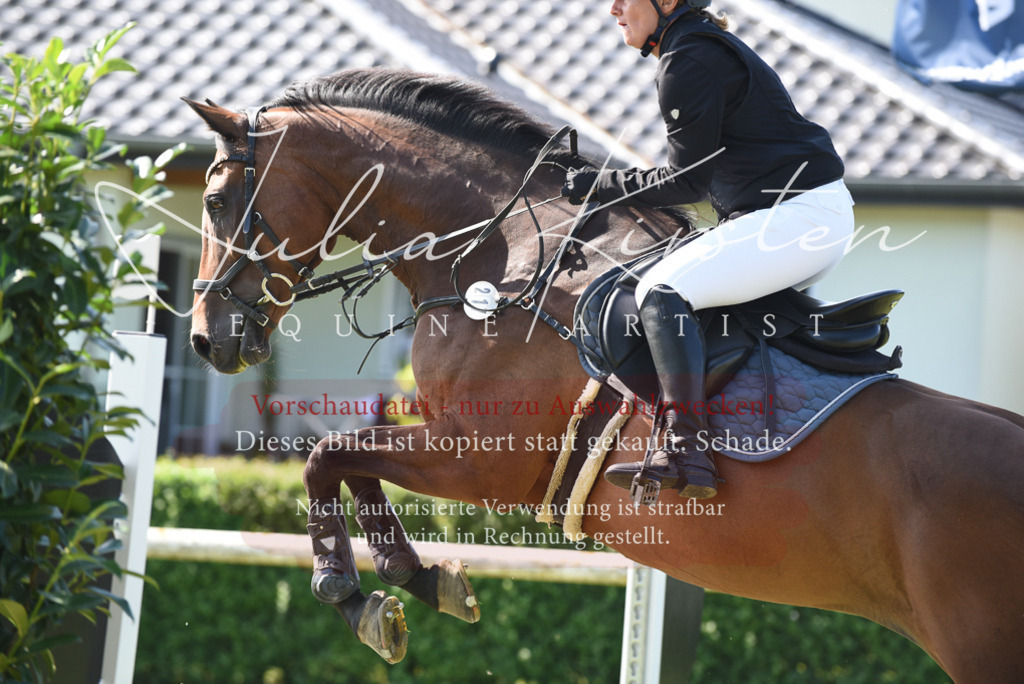 DSC_9106 | Pferde- und Turnierfotografie in Westsachsen. Pferdeportraits, Auftragszeichnungen und intuitive Kunst.