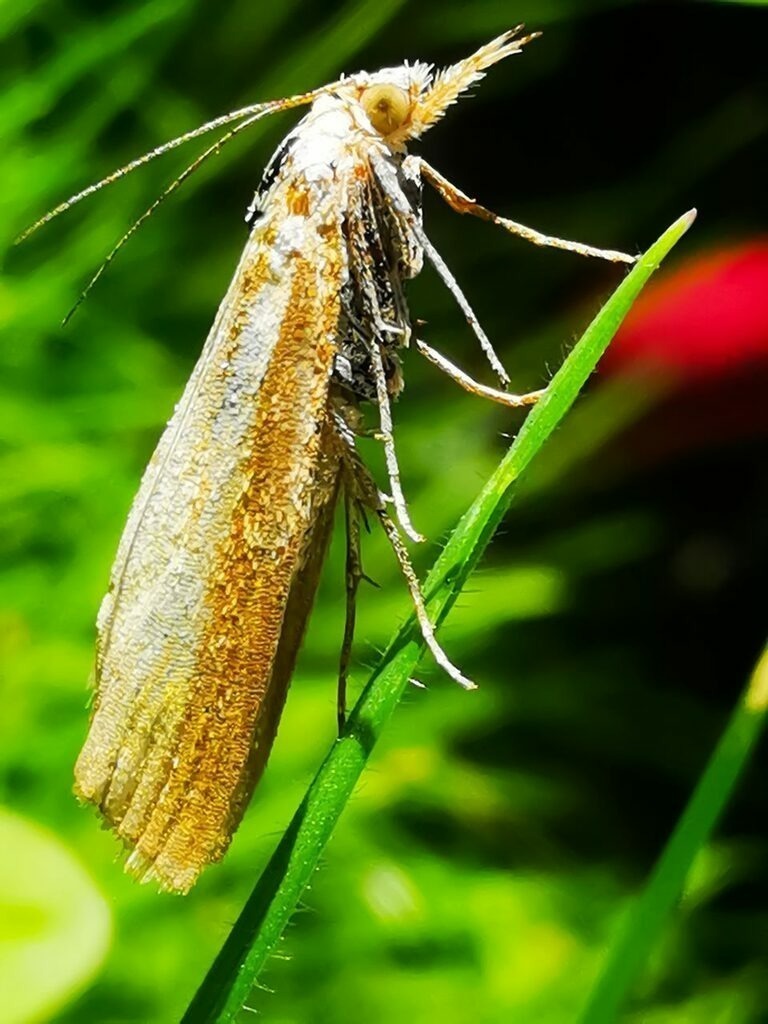 PSX_20220913_230821 | mtkfoto_ - Realisiert mit Pictrs.com