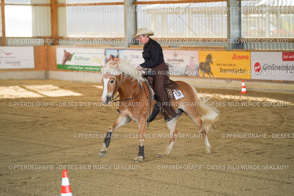 DSC00943 | Pferdegrafie
