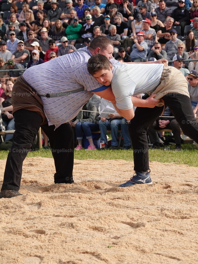 DSC06672 | Schwingen - Realisiert mit Pictrs.com