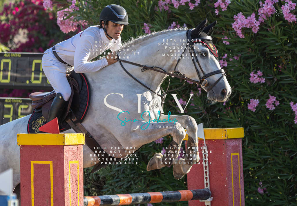 IMG_9537 | s-jay-photography - Realisiert mit Pictrs.com