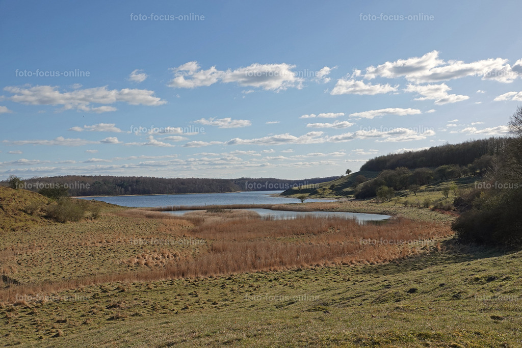 Dumersdorfer Ufer nature reserve_45 | Trave bank