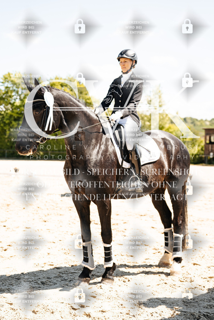 CK703536 | Turnierfotografie Pferdefotografie Trier Rheinland-Pfalz Pferdesport Reitsport Tierfotografie Sportfotografie Pferdevideo Pferdevideografie Equestrianvideography equestrianphotography  - Realisiert mit Pictrs.com