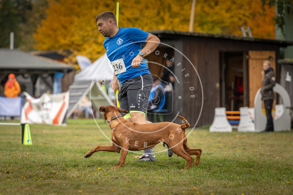 Pfotenfotografie_DV3A4913 | Hundefotografie, Tierfotograf, Pfotenfotografie, Fotoshooting Hund, Hunde Portrait, Hundesport, Hundeportraits, Heideshooting, Hunde, Sportfotograf, Hundefotograf, Turnierhundsport, THS,  - Realisiert mit Pictrs.com