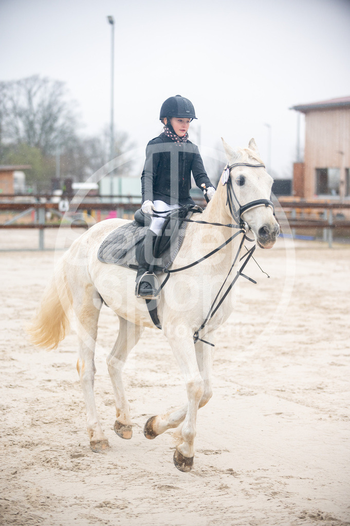 DSC_3196 | sattelsport - Realisiert mit Pictrs.com