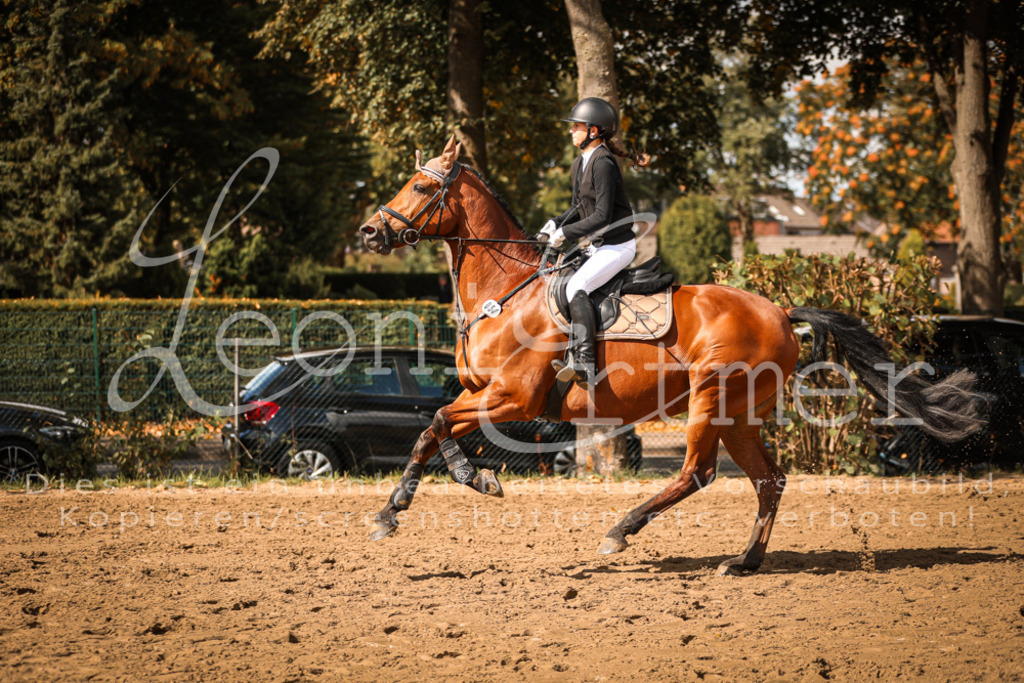 05.SaSpE00106 | Leoni Ertmer Photography - Realisiert mit Pictrs.com