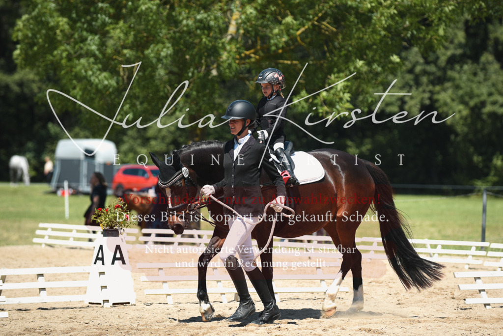 DSC_2032 | Pferde- und Turnierfotografie in Westsachsen. Pferdeportraits, Auftragszeichnungen und intuitive Kunst.