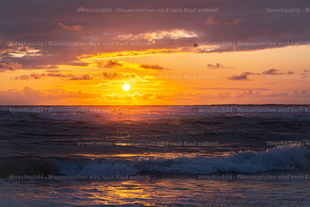 DSC02032-Enhanced-NR | marcuslinek