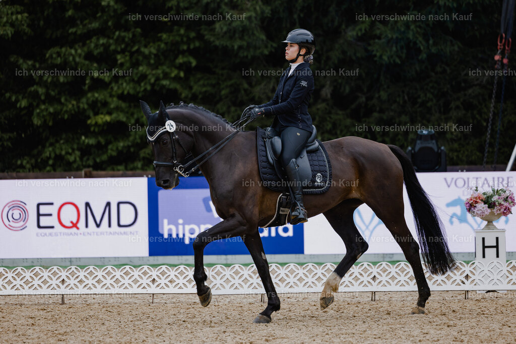 Leonie24_FHC2025-2 | working equitationturnier fotograf videograf stoibphotography marixx film working equitation deutschland reitsport turnierfotografie eventfotografie equestrian events