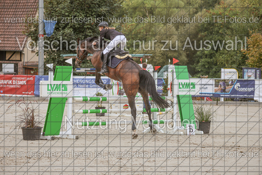 2025-09-22_09-37-40_MG_3987 | TE-Fotos