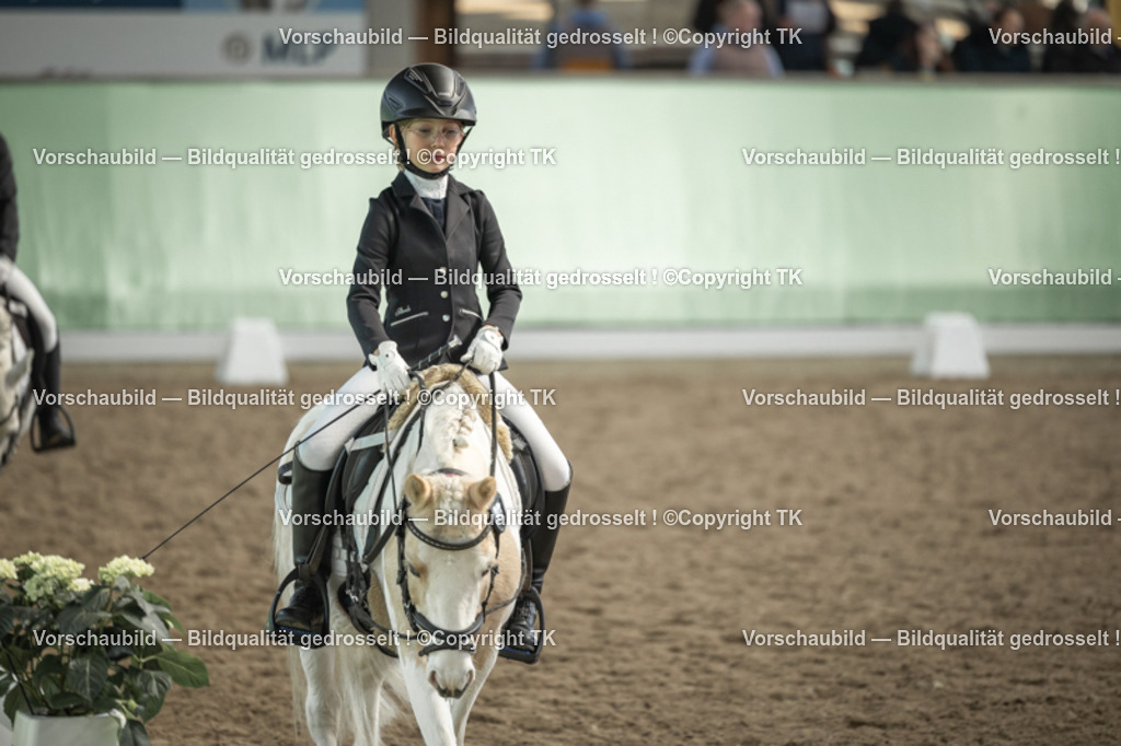 _D5A5717 | Emotionale Pferde- & People-Fotografie rund um Heidelberg, Leimen & Umgebung. Natürliche Fotos von Pferd, Mensch & Familie. Jetzt Termin sichern!