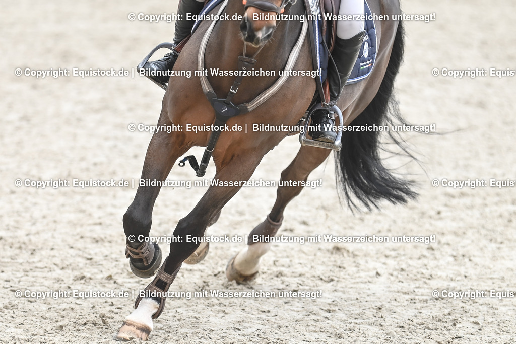 20230514_CCI4_Springen_0113 | equistock