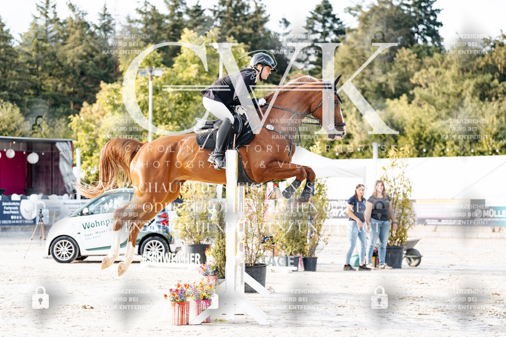 CK903292 | Turnierfotografie Pferdefotografie Trier Rheinland-Pfalz Pferdesport Reitsport Tierfotografie Sportfotografie Pferdevideo Pferdevideografie Equestrianvideography equestrianphotography  - Realisiert mit Pictrs.com