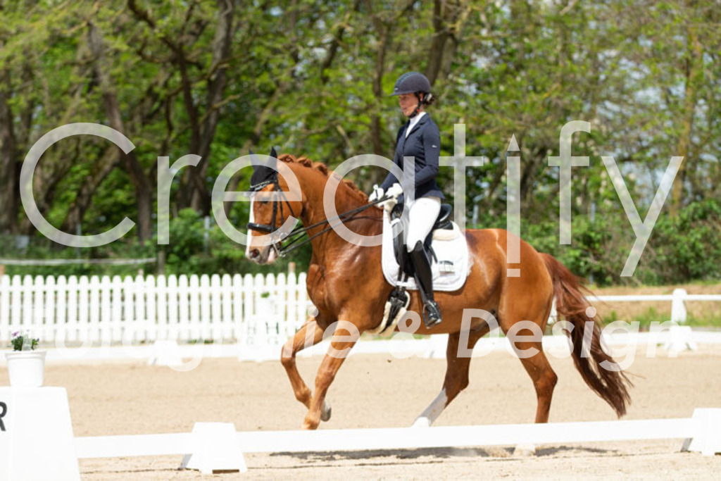 IMG_5709 | Creatify Fotografie