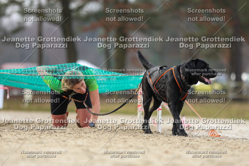 Dog Paparazzi - Strongdog North Mrz26-4723 | Dog Paparazzi Jeanette Grottendiek Fotografie & Videografie - Realisiert mit Pictrs.com