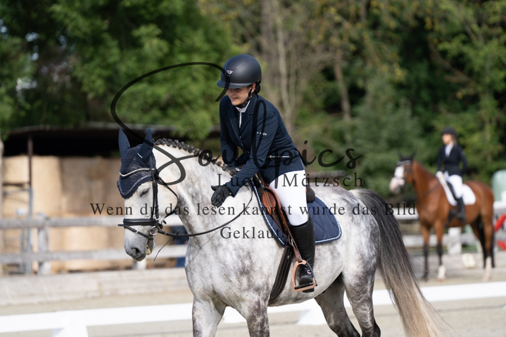 A7V06850 | Turnier/Reitfotograf