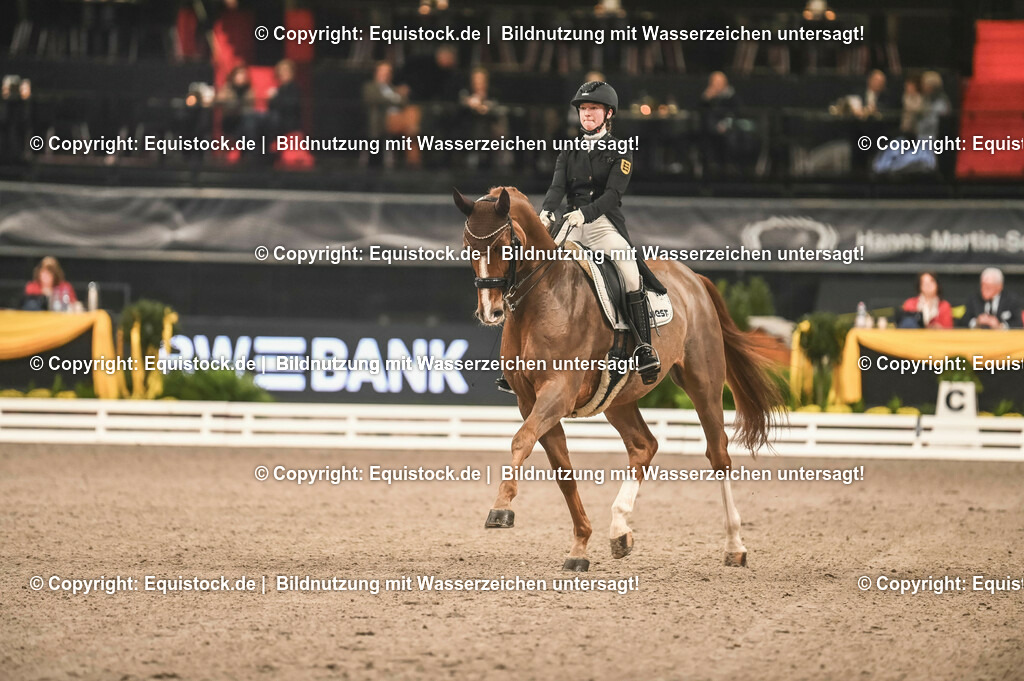 20231115_20_Dressur_Kl-S++_0196_TOMsPiC | Foto: Thomas Hartig